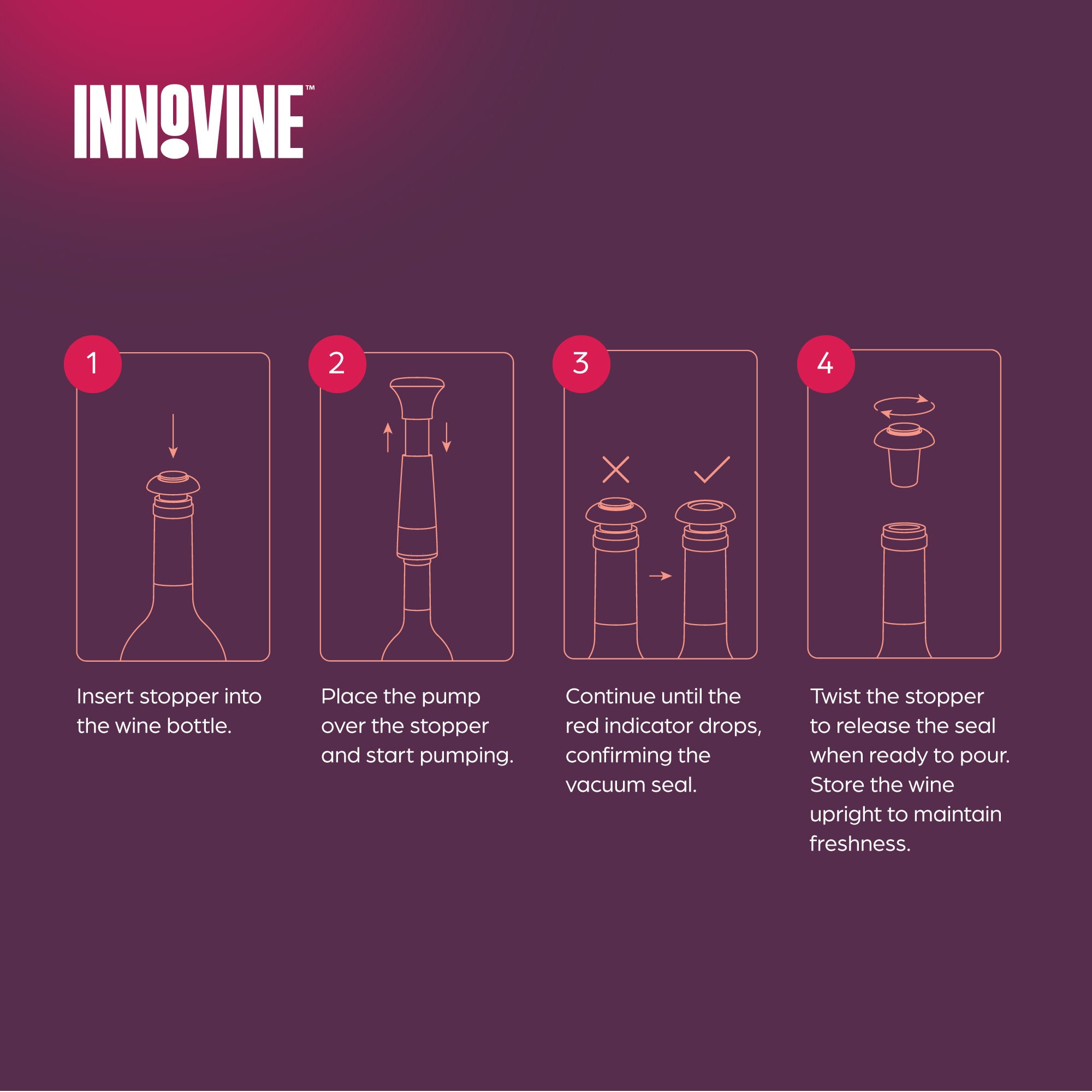 Vacuum Pump Wine Saver in Raspberry